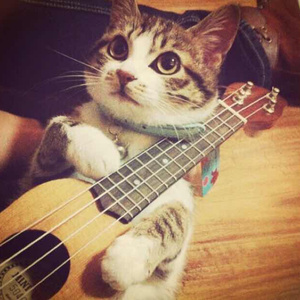 白丝校🌸让我爽一天在线观看
