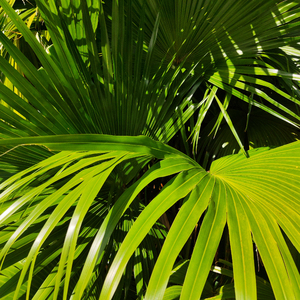 白丝校🌸让我爽一天在线观看

